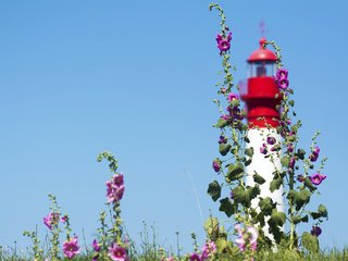 Обои небо, цветы, маяк, мальва, the sky, flowers, lighthouse, mallow разрешение 2048x1365 Загрузить