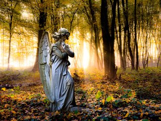 Обои деревья, парк, осень, ангел, статуя, trees, park, autumn, angel, statue разрешение 4288x2848 Загрузить