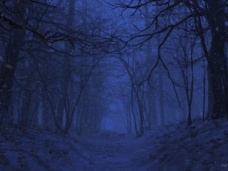 Обои ночь, природа, лес, рендеринг, 3д, night, nature, forest, rendering, 3d разрешение 2880x1800 Загрузить