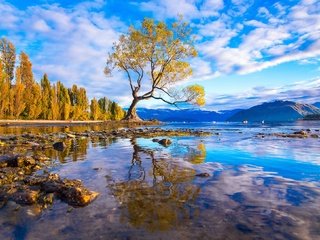 Обои вода, горы, дерево, камни, лес, отражение, оезро, water, mountains, tree, stones, forest, reflection, outro разрешение 1920x1087 Загрузить