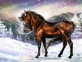 Обои арт, грива, лошадь, живопись, снег, зима, взгляд, холод, следы, животное, art, mane, horse, painting, snow, winter, look, cold, traces, animal разрешение 3634x2550 Загрузить