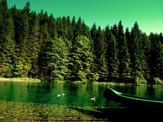 Обои река, природа, лес, лодка, утки, берег реки, river, nature, forest, boat, duck, the river разрешение 3872x2592 Загрузить
