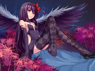 Обои девушка, взгляд, крылья, чулки, akemi homura, mahou shoujo madoka magica, girl, look, wings, stockings разрешение 3507x2480 Загрузить