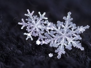 Обои снег, зима, снежинки, кристаллы, snow, winter, snowflakes, crystals разрешение 2400x1600 Загрузить
