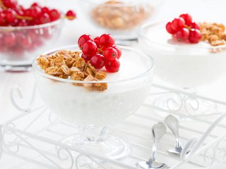 Обои десерт, смородина, панна-кота, гранолла, dessert, currants, panna cotta, granola разрешение 2048x1367 Загрузить