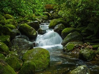 Обои вода, камни, зелень, ручей, мох, water, stones, greens, stream, moss разрешение 2250x1495 Загрузить