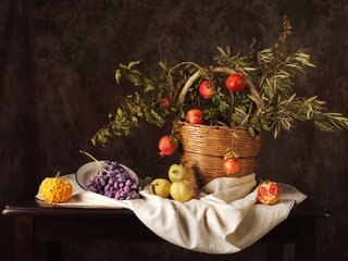 Обои виноград, яблоки, тыква, натюрморт, гранат, grapes, apples, pumpkin, still life, garnet разрешение 2048x1365 Загрузить