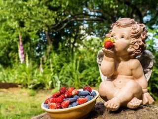 Обои статуэтка, ангел, ягоды, земляника, жимолость, figurine, angel, berries, strawberries, honeysuckle разрешение 3000x1955 Загрузить