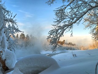 Обои деревья, снег, зима, ветки, trees, snow, winter, branches разрешение 1920x1285 Загрузить