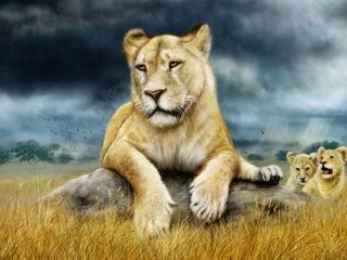 Обои львы, семья, львята, львица, саванна, детеныши, сухая трава, lions, family, the cubs, lioness, savannah, cubs, dry grass разрешение 3032x1908 Загрузить