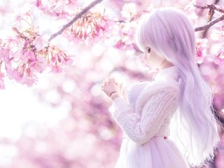 Обои свет, настроение, кукла, весна, сакура, light, mood, doll, spring, sakura разрешение 1932x1284 Загрузить