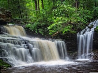 Обои вода, камни, лес, водопад, water, stones, forest, waterfall разрешение 1977x1227 Загрузить