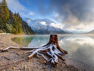 Обои озеро, tirol, горы, снег, берег, лес, австрия, коряга, тироль, lake, mountains, snow, shore, forest, austria, snag, tyrol разрешение 3750x2500 Загрузить