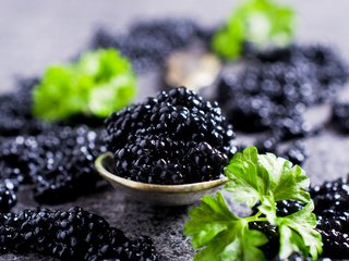 Обои черная, икра, петрушка, черная икра, black, caviar, parsley, black caviar разрешение 2880x1908 Загрузить