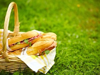 Обои трава, природа, корзина, пикник, бутерброды, grass, nature, basket, picnic, sandwiches разрешение 2808x1872 Загрузить