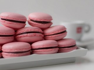 Обои сладкое, тарелка, печенье, розовое, макарон, макарун, sweet, plate, cookies, pink, pasta, macaron разрешение 1920x1080 Загрузить