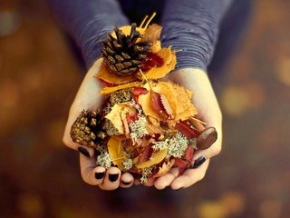 Обои листья, осень, руки, подарок, ладони, сосновые шишки, leaves, autumn, hands, gift, palm, pine cones разрешение 1920x1200 Загрузить