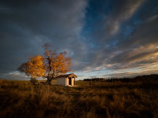 Обои дерево, поле, осень, tree, field, autumn разрешение 2048x1280 Загрузить