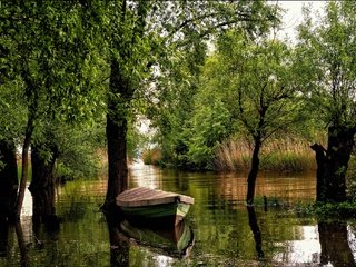 Обои деревья, река, австрия, лодка, форарльберг, trees, river, austria, boat, vorarlberg разрешение 2036x1357 Загрузить