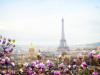 Обои город, париж, весна, европа, франция, эйфелева башня, the city, paris, spring, europe, france, eiffel tower разрешение 1920x1200 Загрузить