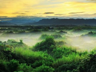 Обои небо, chris photography(王權), горы, природа, пейзаж, туман, рассвет, тайвань, растительность, the sky, mountains, nature, landscape, fog, dawn, taiwan, vegetation разрешение 1920x1149 Загрузить
