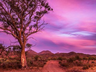 Обои дорога, горы, природа, дерево, австралия, road, mountains, nature, tree, australia разрешение 2048x1354 Загрузить