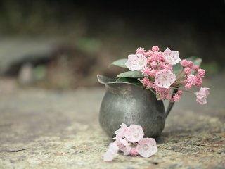 Обои цветы, фон, лепестки, букет, ваза, кувшин, flowers, background, petals, bouquet, vase, pitcher разрешение 5760x3840 Загрузить