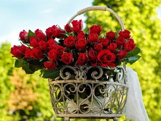 Обои цветы, розы, букет, flowers, roses, bouquet разрешение 1920x1263 Загрузить