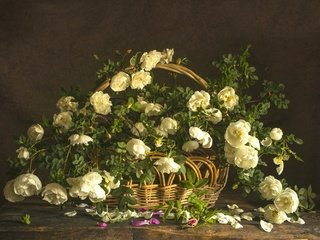 Обои розы, букет, корзина, композиция, roses, bouquet, basket, composition разрешение 2100x1399 Загрузить