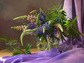 Обои цветы, ткань, букет, фиолетовые, люпин, flowers, fabric, bouquet, purple, lupin разрешение 2400x1601 Загрузить