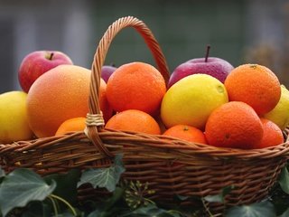 Обои фрукты, лимон, корзина, апельсин, яблоко, мандарин, цитрусы, грейпфрут, fruit, lemon, basket, orange, apple, mandarin, citrus, grapefruit разрешение 2400x1600 Загрузить