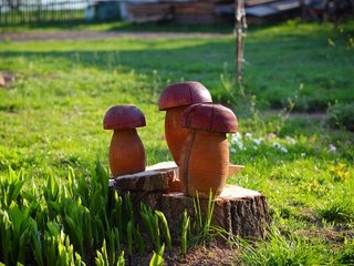 Обои лето, грибы, пень, пенек, грибочки, summer, mushrooms, stump разрешение 4096x2731 Загрузить