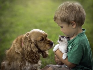 Обои кошка, собака, мальчик, дружба, cat, dog, boy, friendship разрешение 3688x2495 Загрузить