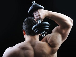 Обои спина, гантеля, плечи, мужчина, мускулы, сзади, мышцы, бодибилдер, гантели, бодибилдинг, bodybuilding, back, dumbbell, shoulders, male, muscles, muscle, bodybuilder, dumbbells разрешение 2880x2142 Загрузить