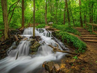 Обои трава, водопад, деревья, сша, камни, лавочка, зелень, parkville, missouri, лестница, парк, ручей, дорожка, grass, waterfall, trees, usa, stones, shop, greens, ladder, park, stream, track разрешение 2048x1152 Загрузить