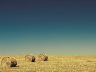 Обои небо, поле, горизонт, сено, тюки, рулоны, the sky, field, horizon, hay, bales, rolls разрешение 1920x1200 Загрузить