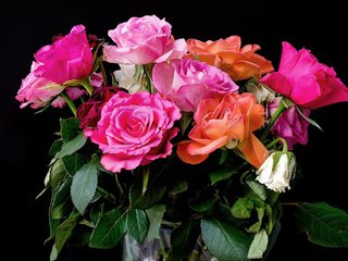 Обои розы, букет, розовые, красивые, роз, roses, bouquet, pink, beautiful разрешение 2041x1359 Загрузить