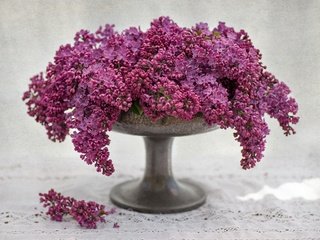 Обои букет, ваза, гроздья, сирень, bouquet, vase, bunches, lilac разрешение 2048x1638 Загрузить