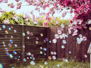 Обои цветы, забор, весна, двор, мыльные пузыри, flowers, the fence, spring, yard, bubbles разрешение 2048x1365 Загрузить