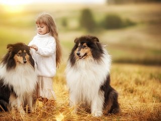 Обои девочка, ребенок, друзья, собаки, колли, girl, child, friends, dogs, collie разрешение 1920x1200 Загрузить