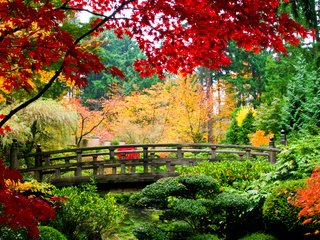 Обои парк, мост, осень, красивая осень, park, bridge, autumn, beautiful autumn разрешение 3000x2003 Загрузить