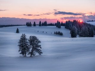 Обои солнце, закат, зима, winter sunset, the sun, sunset, winter разрешение 2048x1367 Загрузить