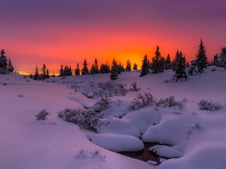 Обои деревья, сугробы, вечер, снег, природа, лес, закат, зима, ручей, trees, the snow, the evening, snow, nature, forest, sunset, winter, stream разрешение 2048x1410 Загрузить