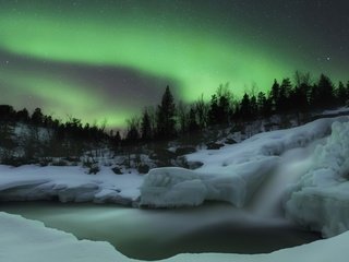 Обои снег, лес, северное сияние, скандинавия, snow, forest, northern lights, scandinavia разрешение 1920x1200 Загрузить