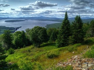 Обои озеро, природа, лес, склон, лето, сша, lake, nature, forest, slope, summer, usa разрешение 2560x1600 Загрузить