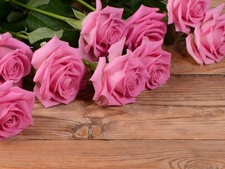 Обои цветы, фон, розы, доски, розовые, flowers, background, roses, board, pink разрешение 2048x1310 Загрузить