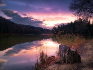 Обои деревья, озеро, закат, пень, trees, lake, sunset, stump разрешение 2000x1235 Загрузить