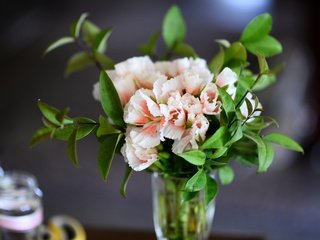 Обои цветы, листья, ветки, букет, ваза, пеларгония, flowers, leaves, branches, bouquet, vase, pelargonium разрешение 6016x4016 Загрузить