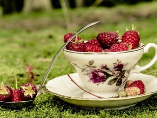 Обои трава, малина, блюдце, ягоды, чашка, половник, grass, raspberry, saucer, berries, cup, ladle разрешение 2048x1357 Загрузить