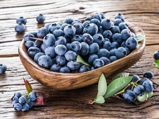 Обои ягоды, лесные ягоды, черника, корзинка, дерева, парное, черничный, berries, blueberries, basket, wood, fresh, blueberry разрешение 8256x6192 Загрузить